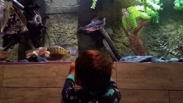 20180711_085555.jpg