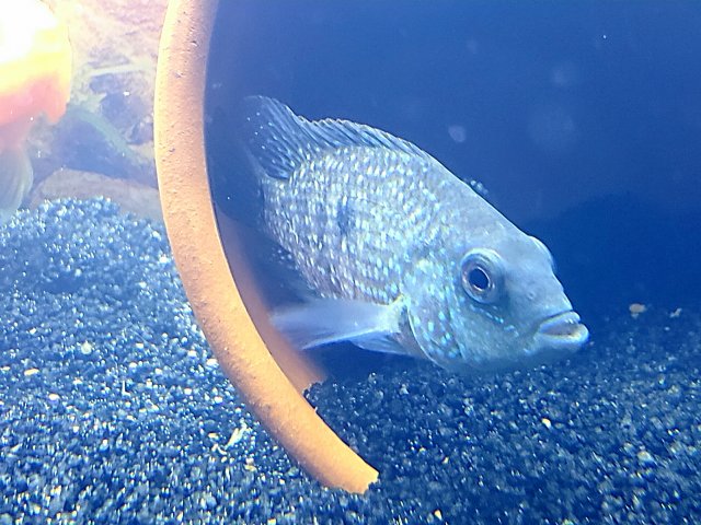 2018-07-11_16.48.46.jpg