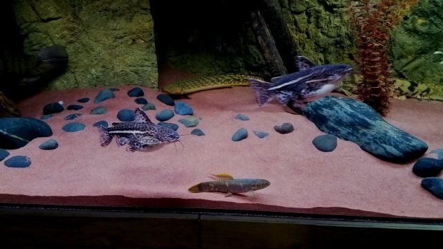 20180712_081944.jpg
