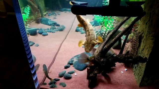 20180712_081813.jpg