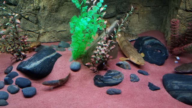 20180712_081254.jpg