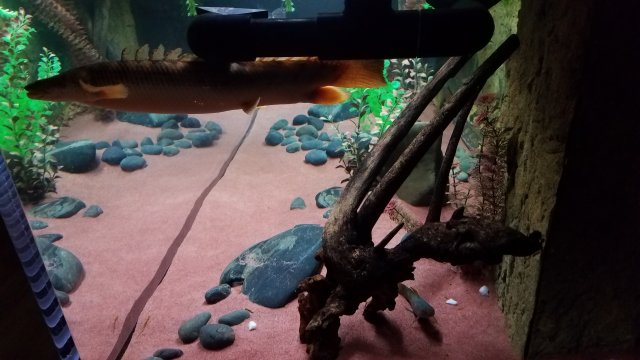 20180712_081041.jpg