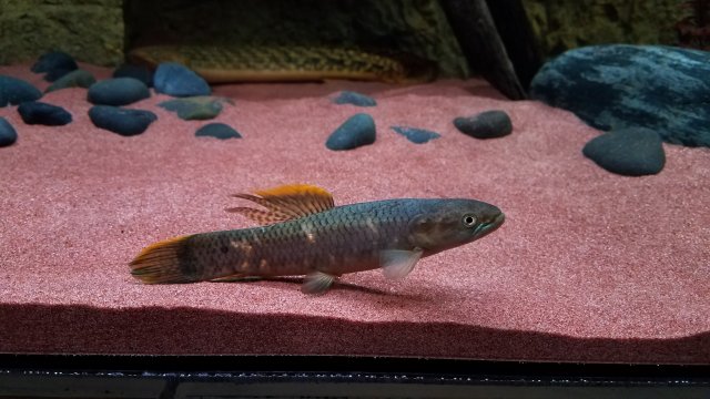 20180712_080721.jpg