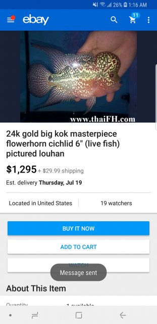 Screenshot_20180712-011632_eBay.jpg Screenshot_20180712-011632_eBay.jpg