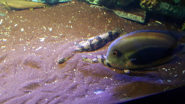 20180713_193801.jpg