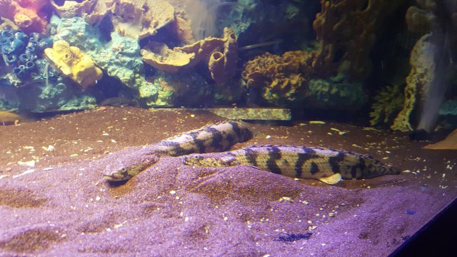 20180713_193740.jpg
