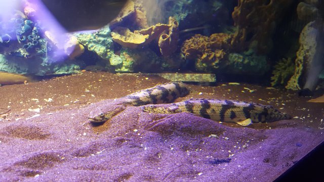 20180713_193733.jpg