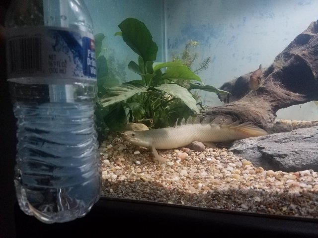 20180713_223632.jpg