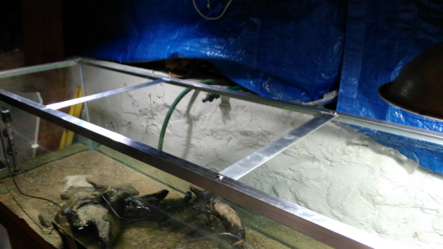 Screenshot_20180714-230113.png Screenshot_20180714-230113.png