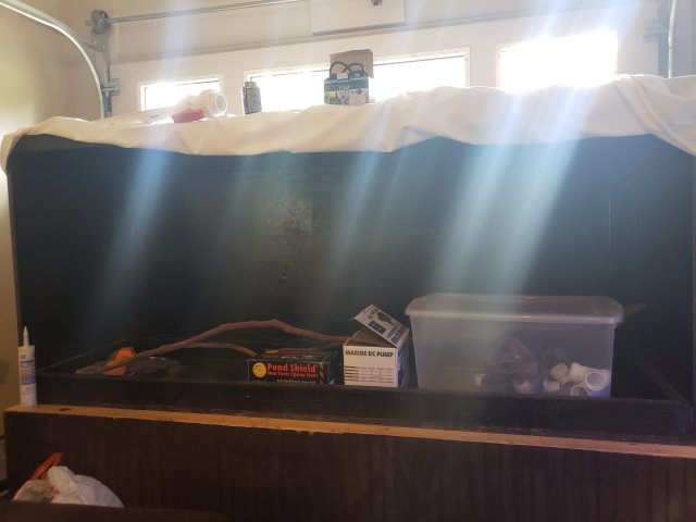 20180715_141624.jpg