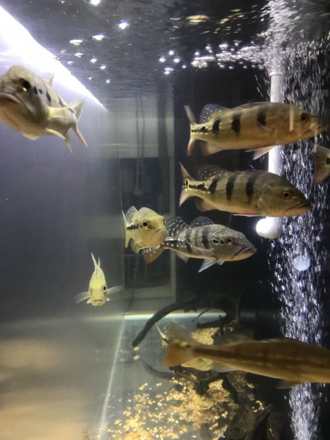 78F79466-7B4E-4488-AF8A-04F2738653B2.jpeg