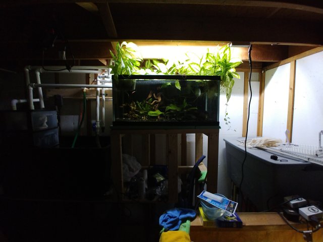 20180630_162142_Burst02.jpg