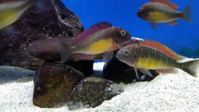 20170701_215730.jpg