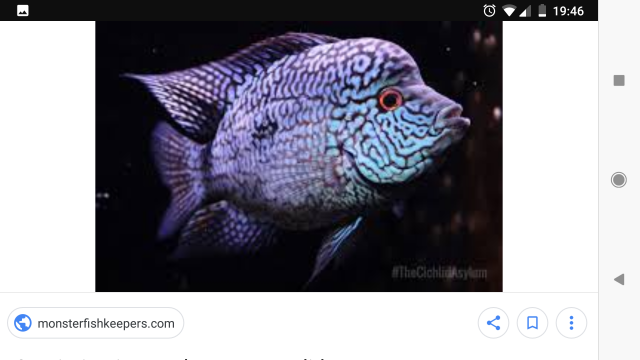 Screenshot_20180716-194700.png
