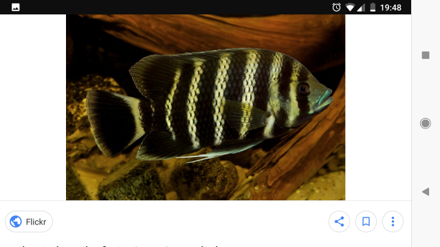 Screenshot_20180716-194855.png