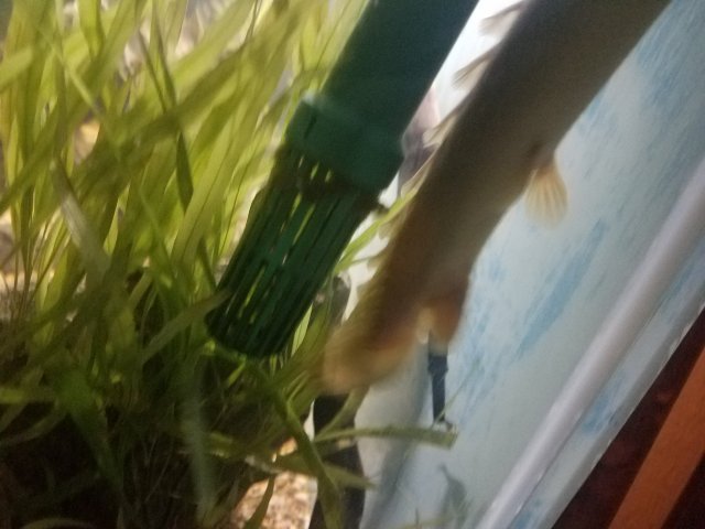 20180717_011929.jpg
