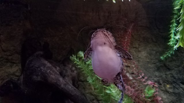 20180718_074010.jpg