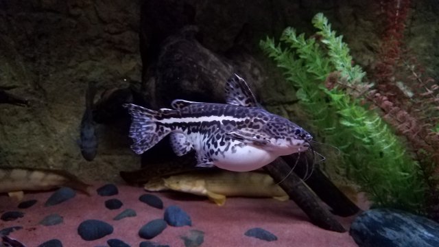 20180718_074008.jpg