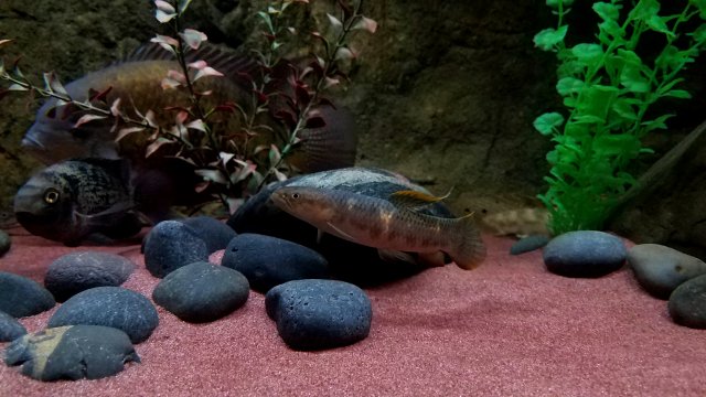 20180718_074347.jpg