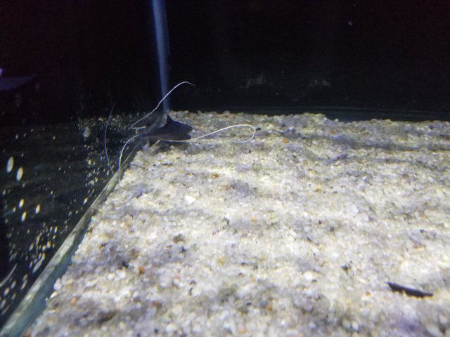 20180718_171318.jpg