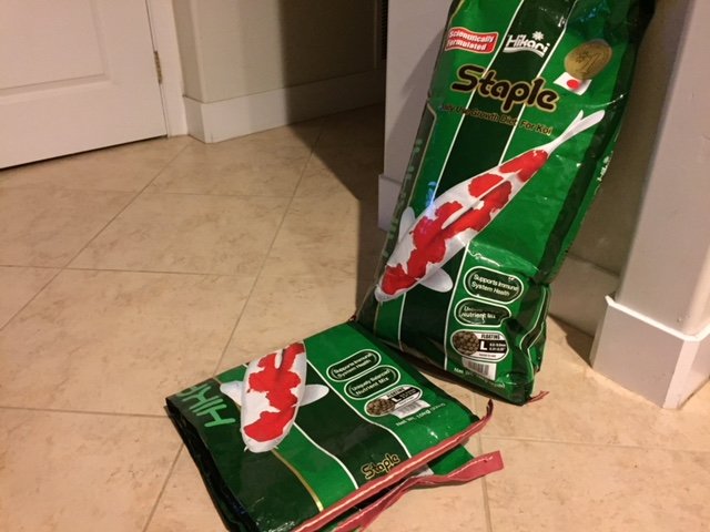image1.jpeg