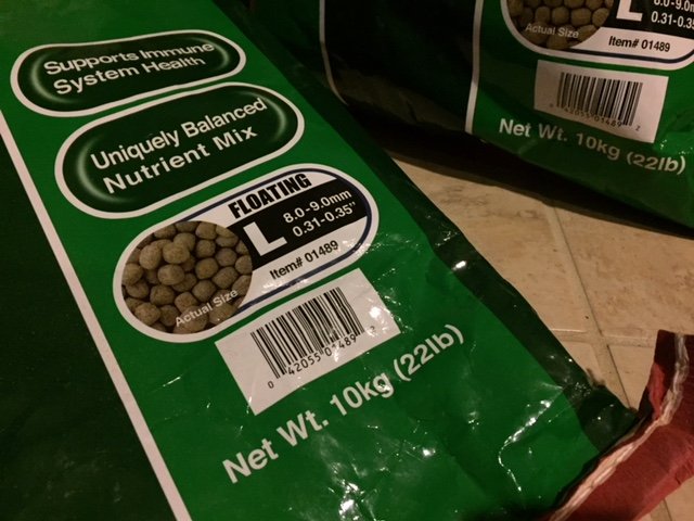 image2.jpeg