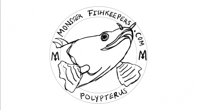 DA26B532-D349-4D29-94ED-BF74D0466CC9.png DA26B532-D349-4D29-94ED-BF74D0466CC9.png