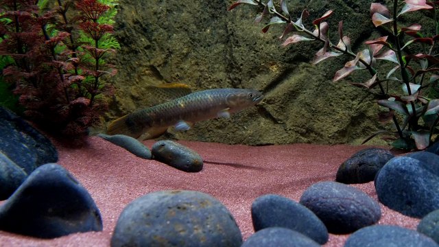 20180721_211752.jpg