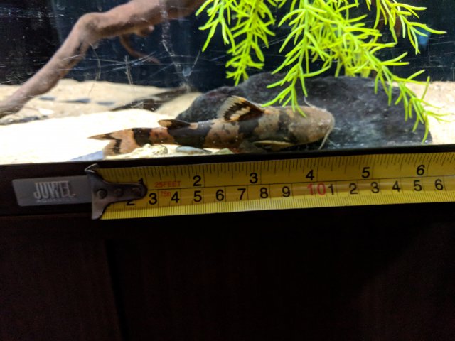 IMG_20180722_083308.jpg