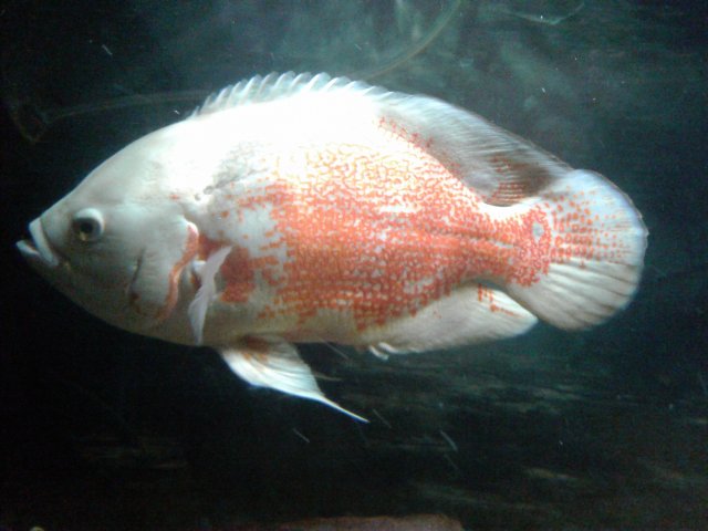 20180721_213335.jpg