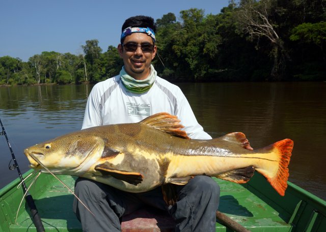 BigRedtail8.jpg BigRedtail8.jpg