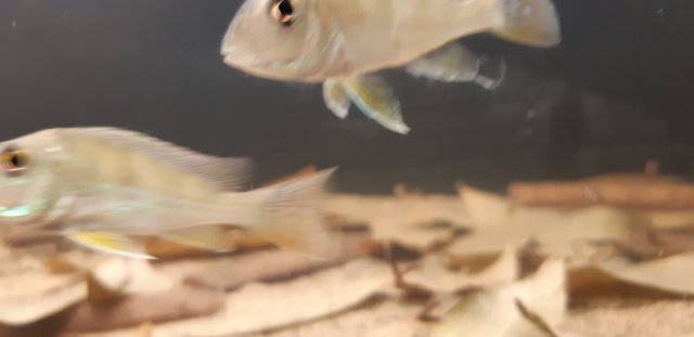 20180724_221955.jpg