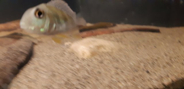 20180724_222225.jpg