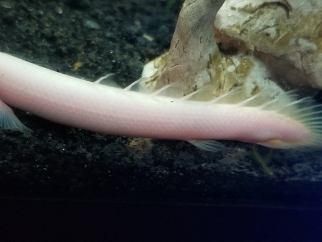 20180725_174733.jpg