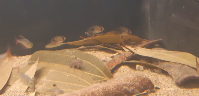 20180725_225745.jpg