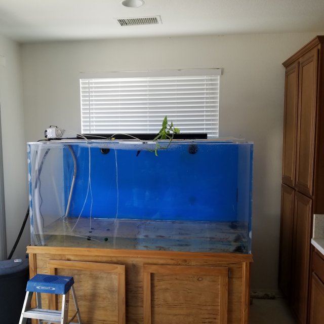 20180726_113718.jpg 20180726_113718.jpg