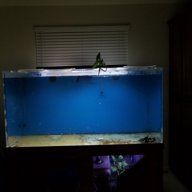 20180726_022256.jpg