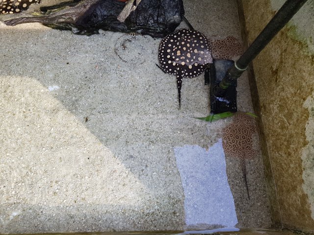 20180729_171358.jpg