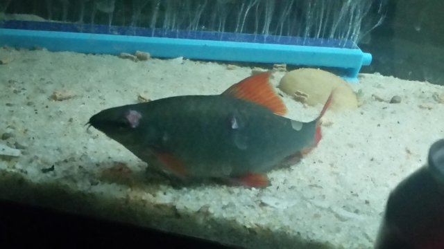 20180729_234605.jpg