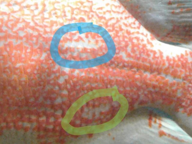 20180728_153118.jpg