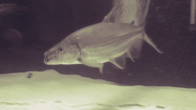 20180629_175548_Film6.jpg