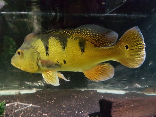 20170708_214007.jpg