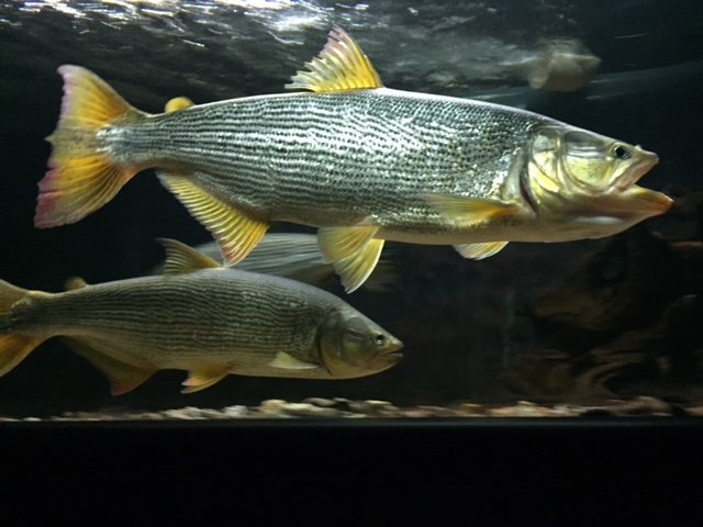 image1.jpeg