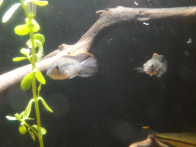 20180410_205219.jpg