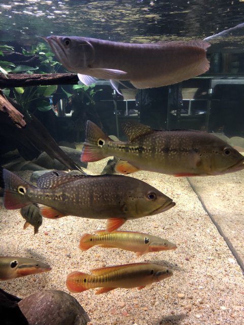 2B92A969-EC0A-445E-BCBE-8C96A5278439.jpeg 2B92A969-EC0A-445E-BCBE-8C96A5278439.jpeg