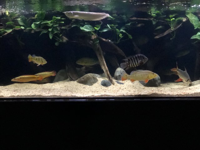 6FA87211-BE0F-4557-AC6B-ABD50455BC73.jpeg 6FA87211-BE0F-4557-AC6B-ABD50455BC73.jpeg