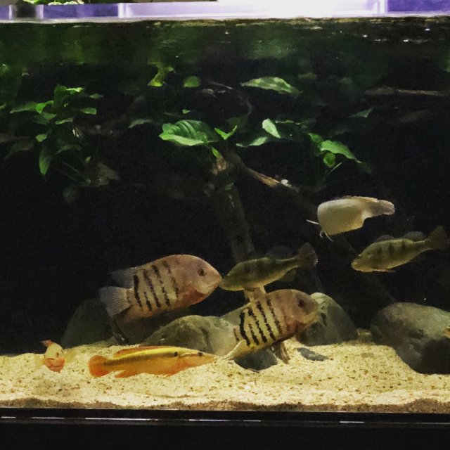 3A8F3179-0C2D-46F9-AE4A-5AE82417D2A6.jpeg 3A8F3179-0C2D-46F9-AE4A-5AE82417D2A6.jpeg