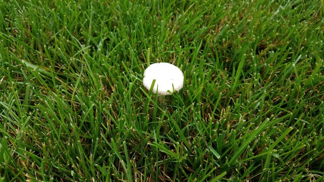 20180804_110702.jpg