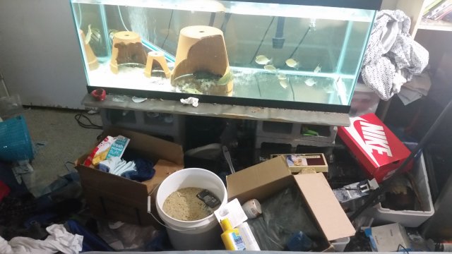 20180802_210251.jpg