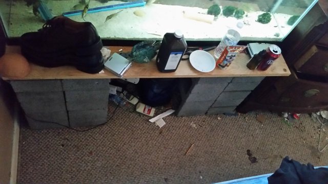 20180805_161833.jpg